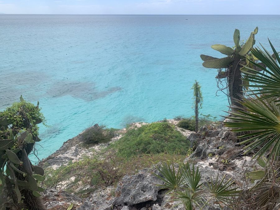 Cactus and limestone above turquoise water on the south-west coast, Dominican Republic