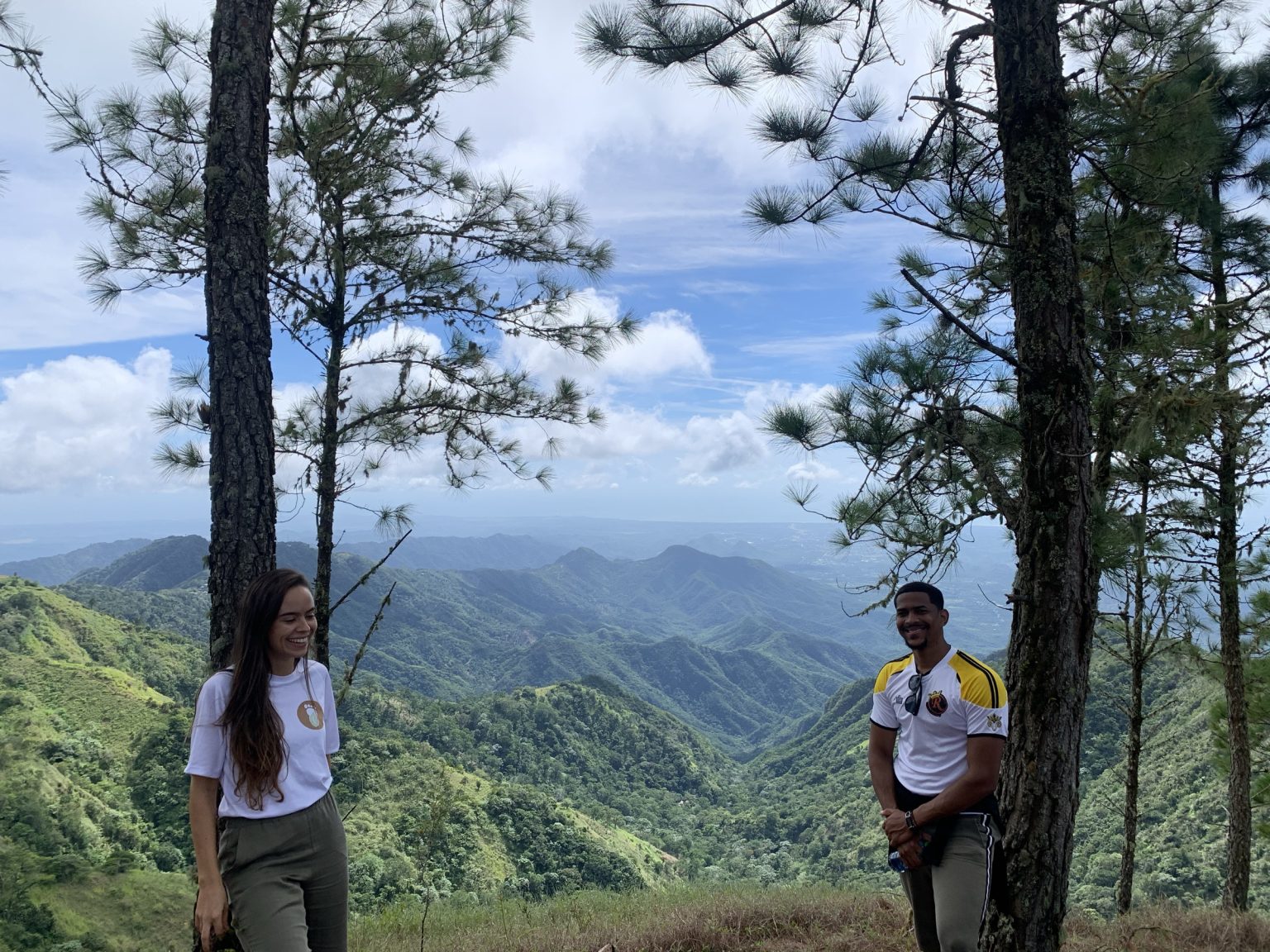 Pine forest on a mountain ridge in the south-west of the Dominican Republic